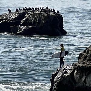 Meet your Posher, Kaden